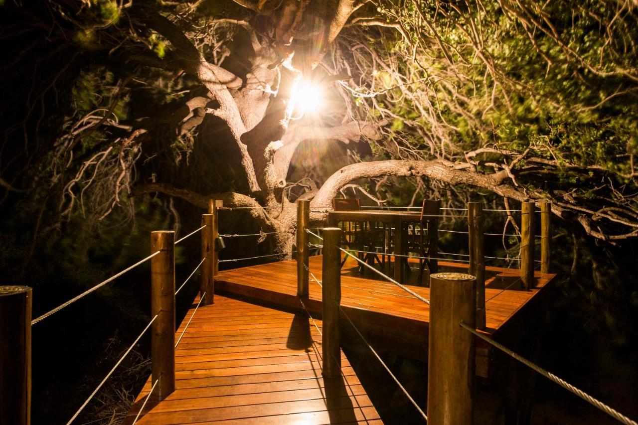 Naledi Lodges Balule Game Reserve Exterior photo